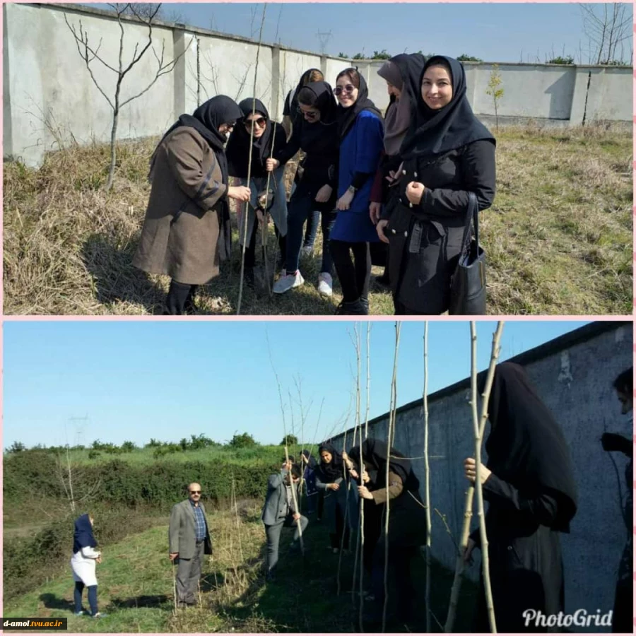 آیین کاشت نهال به مناسبت روز درختکاری و هفته منابع طبیعی در آموزشکده فنی و حرفه ای دختران آمل 2