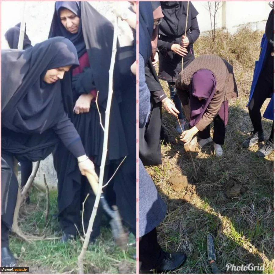 آیین کاشت نهال به مناسبت روز درختکاری و هفته منابع طبیعی در آموزشکده فنی و حرفه ای دختران آمل 4