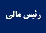 رئیس مالی  2