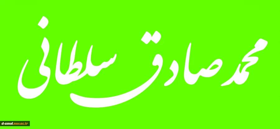 محمد صادق سلطانی 2