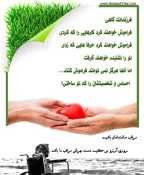 عکس سالمند 4