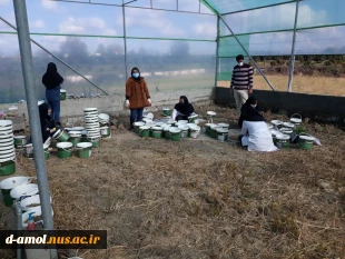 شروع کلاسهای کارگاهی و عملی با حضور دانشجویان بومی دانشکده فنی دختران آمل سال تحصیلی ۱۴۰۱-۱۴۰۰ 8